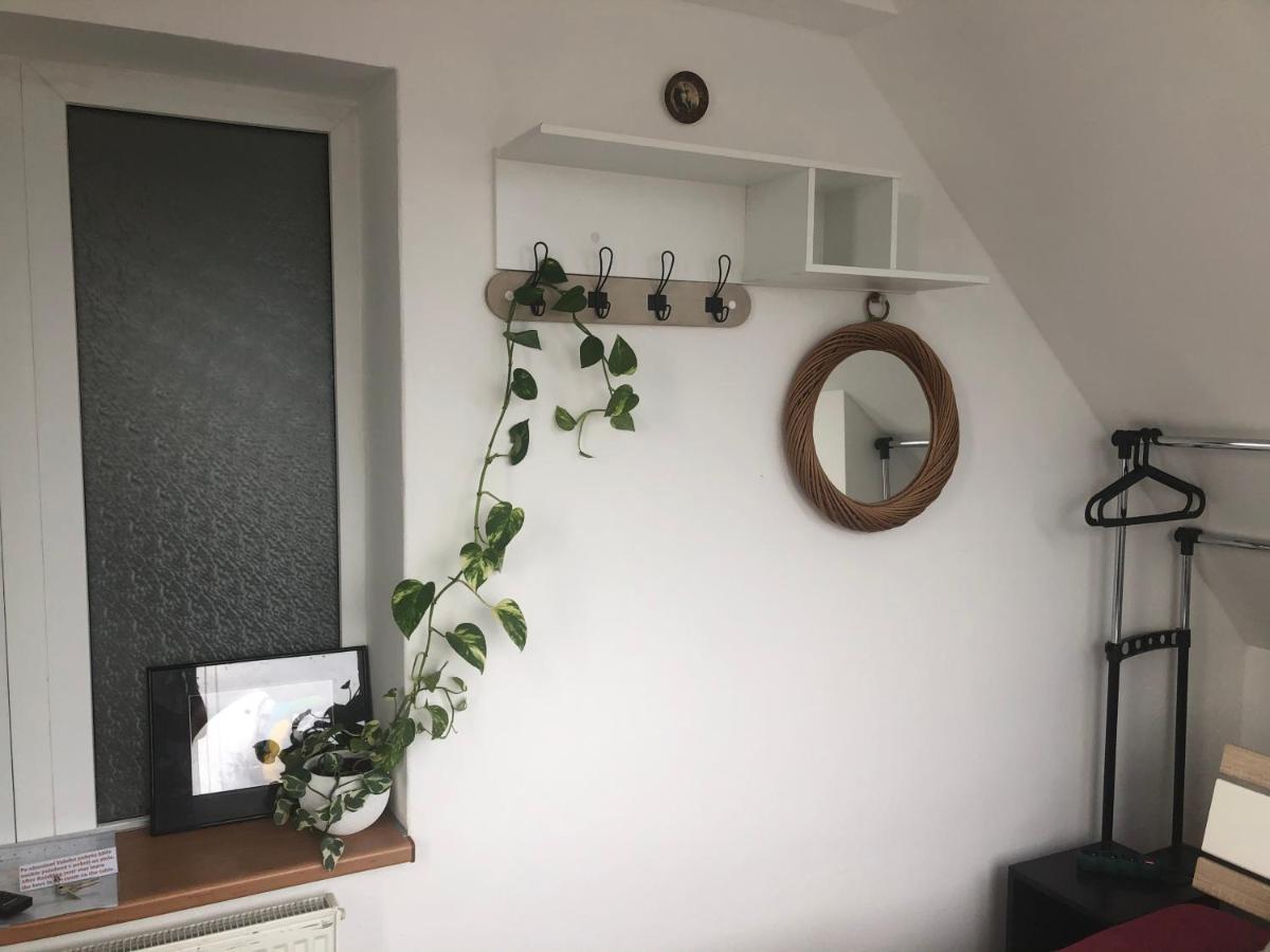 Homestay U Hanky Zdiby ภายนอก รูปภาพ